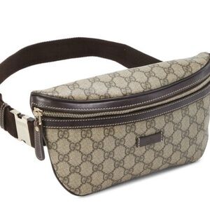 Gucci Beige and Dark Brown Logo Belt Bag